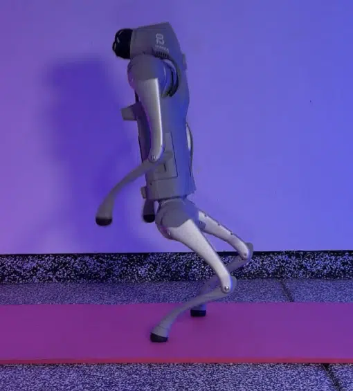 Robot dog performing at a trade show